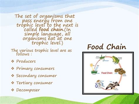 Ecosystem Flow Chart 的图像结果