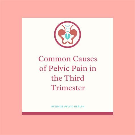 Pelvic Pain Pregnancy Third Trimester