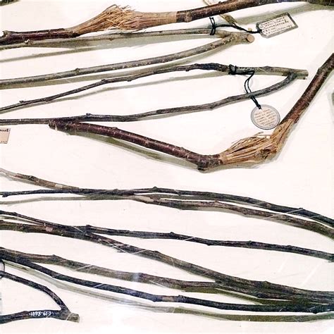 Divining Rod How It Works 的图像结果