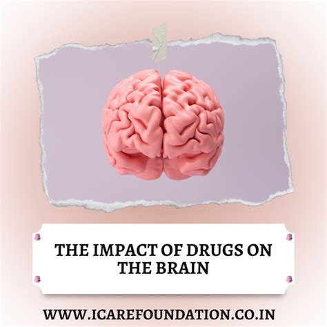 Effects Of Drugs On The Brain