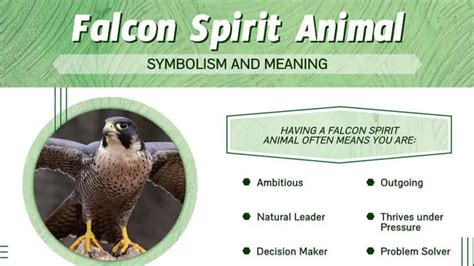 Biblical Insights: The Symbolic Significance of Seeing a Falcon - John ...