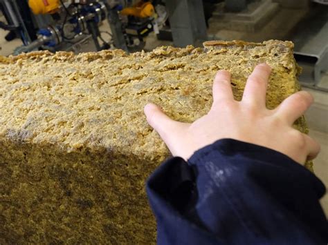 Trinseo Stock Swings As Retail Chatter Spikes On Q4 Results ...