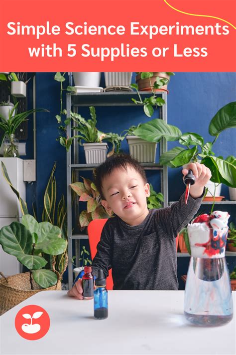 Image result for Simple Science Experiments