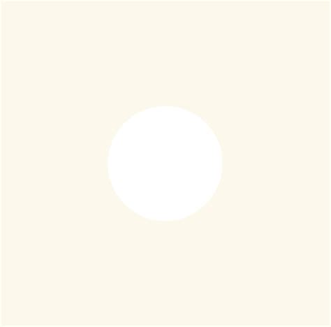 Raviolis Pasta Fresca