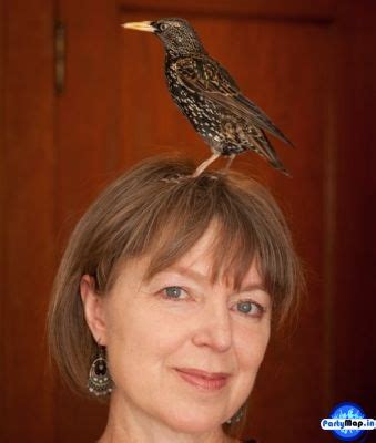 Book Starling: Contact for Latest Concert & Show Price