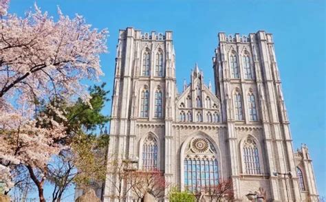 青岛韩国留学|韩国院校及专业介绍，想去韩国留学的伙伴们了解一下！！ - 知乎