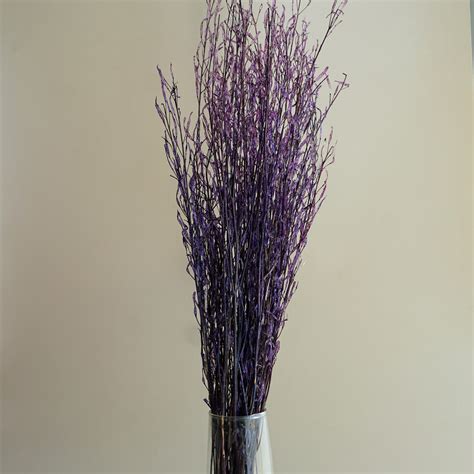 Purple Mustard Stems (Bunch of 25) – Orange Skies