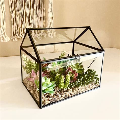 12 2 large terrarium house closed plant terrarium containers mini ...