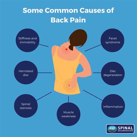 What Causes Lower Back Pain In Men – ALHFO