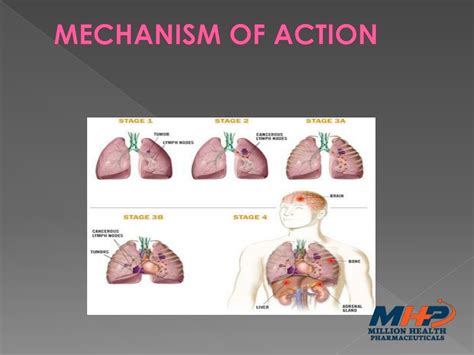 PPT - Tagrisso 80mg Tablets| Osimeritinib Uses & Side effects PowerPoint Presentation - ID:8396405
