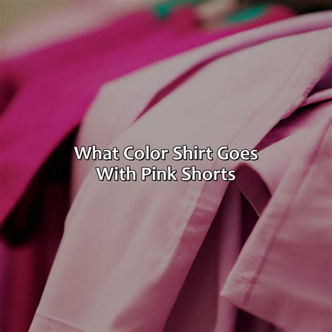 What Color Is Puce - colorscombo.com