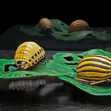 10 Years of the Neues Museum | Meer