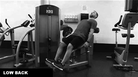 Image result for Muscles et Machines