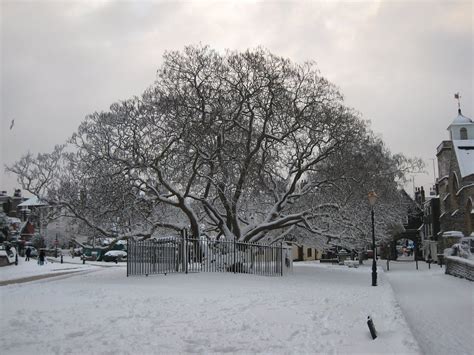 CITY OF ROCHESTER SOCIETY GUIDED WALKS (2026) All You Need to Know ...