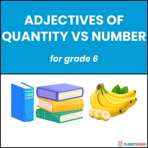 Class 6 Worksheet on Adjectives on Quantity vs Number | PlanetSpark