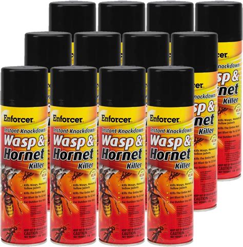 Amazon.com: Zep Enforcer Yellow Jacket, Wasp and Hornet Killer 16 Oz ...