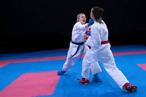 Image result for Karate Framework Java