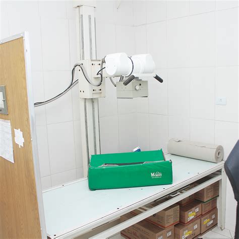 Hospital Veterinário 24 horas Piu Piu - Clínica Veterinária e Hospital ...