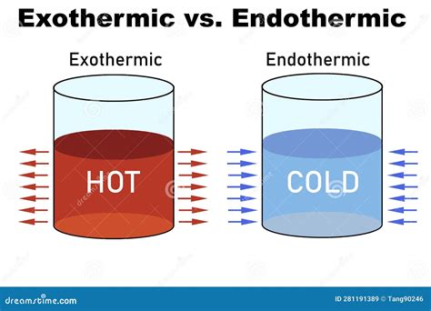 Exothermic Vs Endothermic Worksheet - prntbl.concejomunicipaldechinu.gov.co