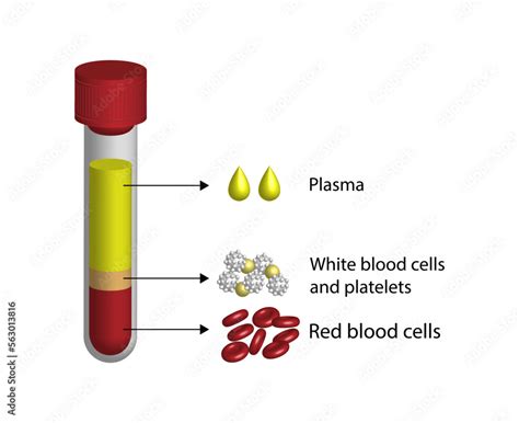 Image result for Normal Values of Blood Components