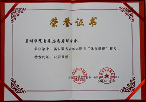 第十二届安徽省青年志愿者获奖证书
