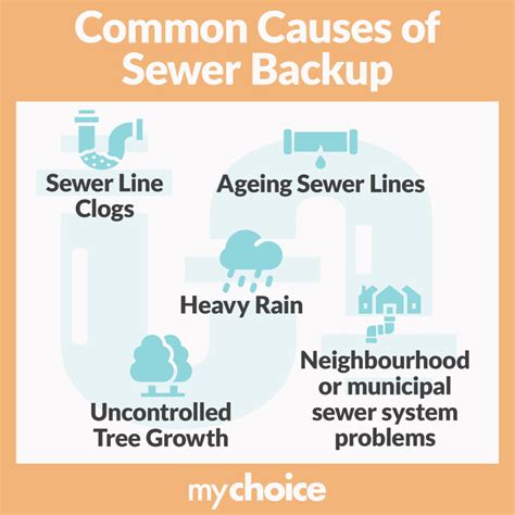 What Is Sewer Backup Insurance? | MyChoice