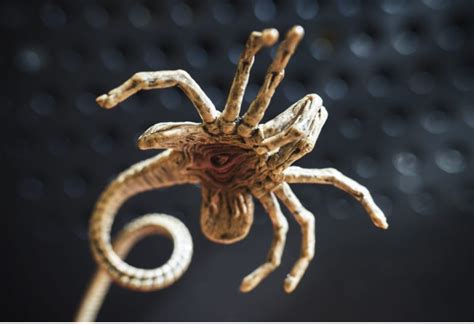 Alien Facehugger Cartoon 的图像结果