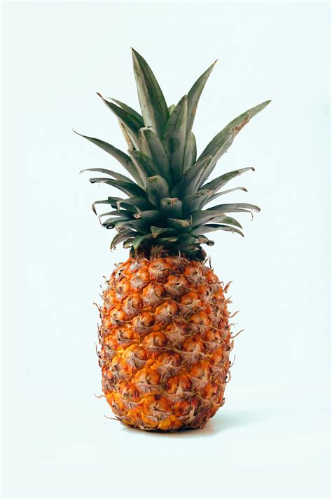 Pineapple Picture for Kids 的图像结果