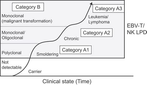 Chronic active Epstein‐Barr virus infection: A heterogeneous entity requiring a high index of ...