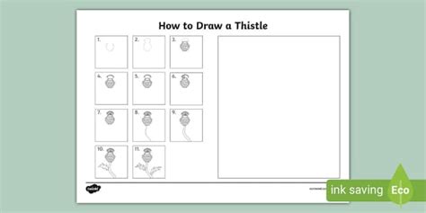 How to Draw a Thistle Step-by-Step - Activity for Children