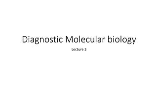 PCR Lecture 的图像结果