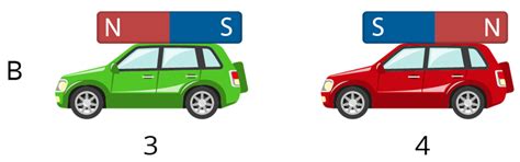 NCERT Exemplar I — task. Science CBSE, Class 6.