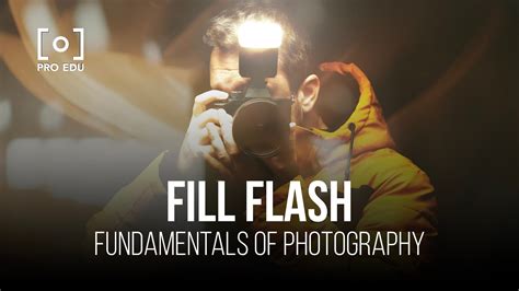 Image result for Fill Flash