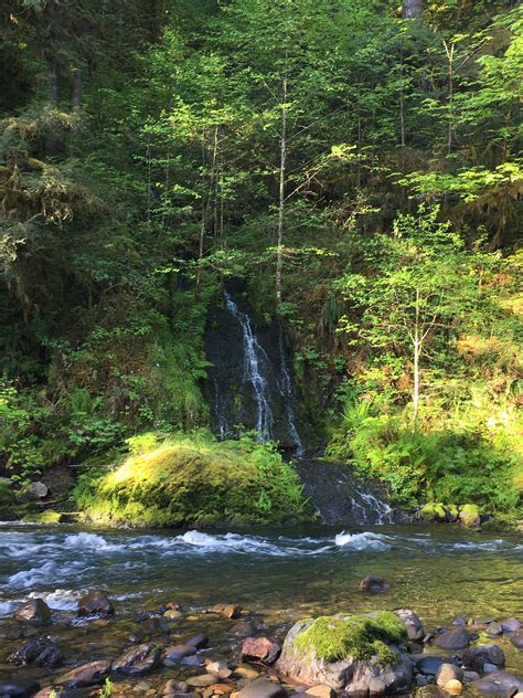 Waterfall meeting a creek at trout creek campground : r/oregon