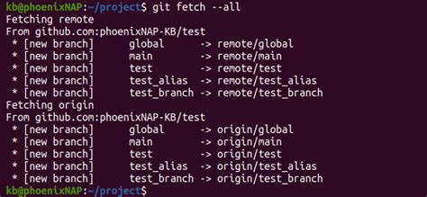 Image result for Fetch Command