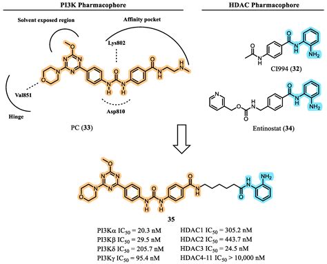 Phosphatidylinositol-3-Kinase (PI3K) and Histone Deacetylase (HDAC ...