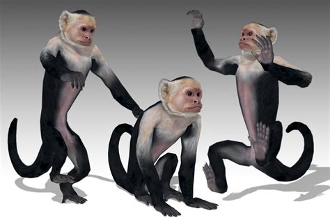 Image result for Unity Code Monkey Characters