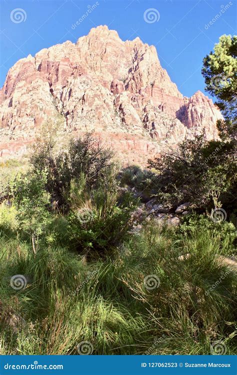 First Creek Trail, Red Rock National Conservation Area, Nevada Stock ...