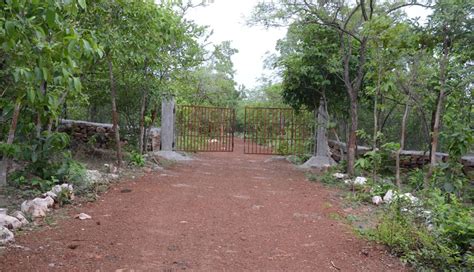 Bardiha Lake View Resort Gangrel Dam - Chhattisgarh Tourism