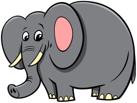 Image result for Elephant Toothpasste Exploding