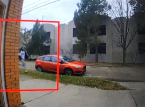 Unique Evans slaying - mlive.com