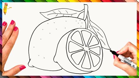 Image result for Simple Lemon Drawing