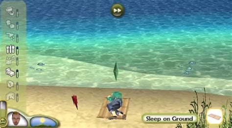 Image result for Sims Castaway