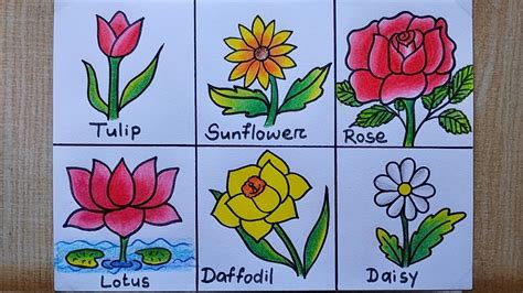 Drawing Of Types Of Flowers at Denise Hochstetler blog
