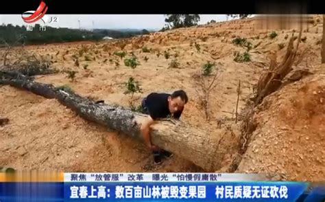 宜春上高：数百亩山林被毁变果园 村民质疑无证砍伐_腾讯新闻