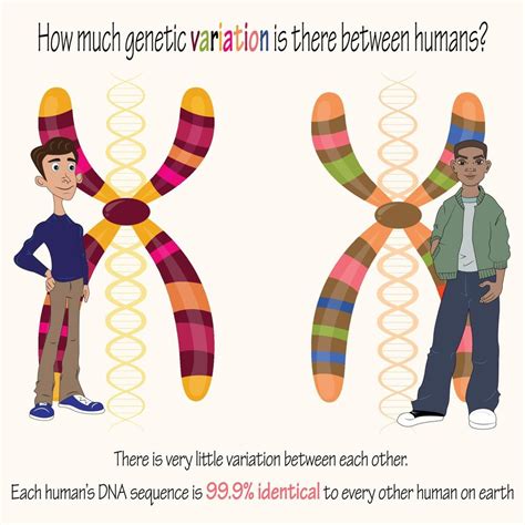 Genetic 的图像结果