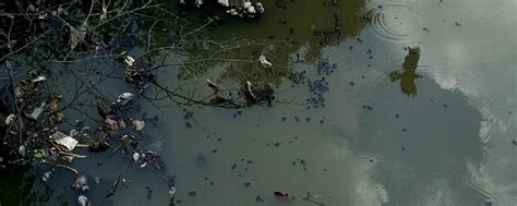 Youngsters Clean Pond To Save The Environment | WhatsHot Kolkata