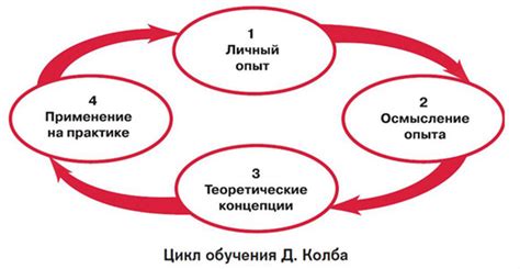 Цикл Колба и стили обучения. Часть 1 — Ярослав Тихомиров