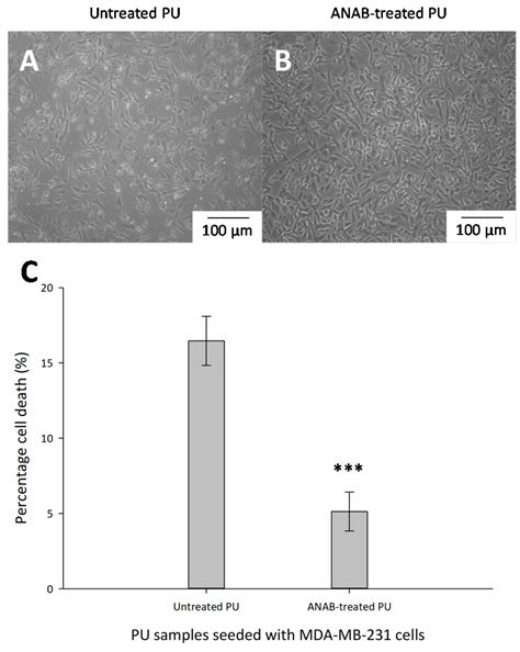 Characterization and Neutral Atom Beam Surface Modification of a Clear ...
