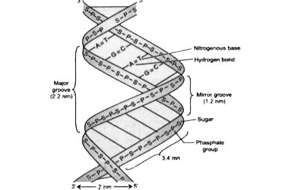 Image result for DNA Microarray Device